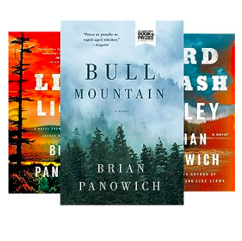 Image shows the cover of all three of Panowich's books